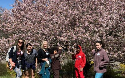 A Day of Discovery at the Arboretum
