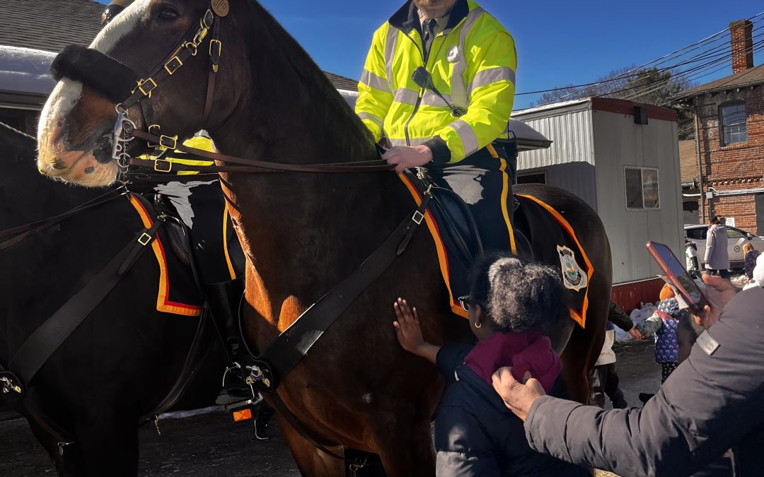 Winter Festival Magic at the Stables