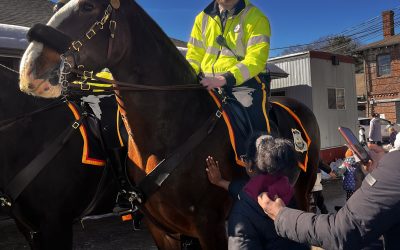 Winter Festival Magic at the Stables